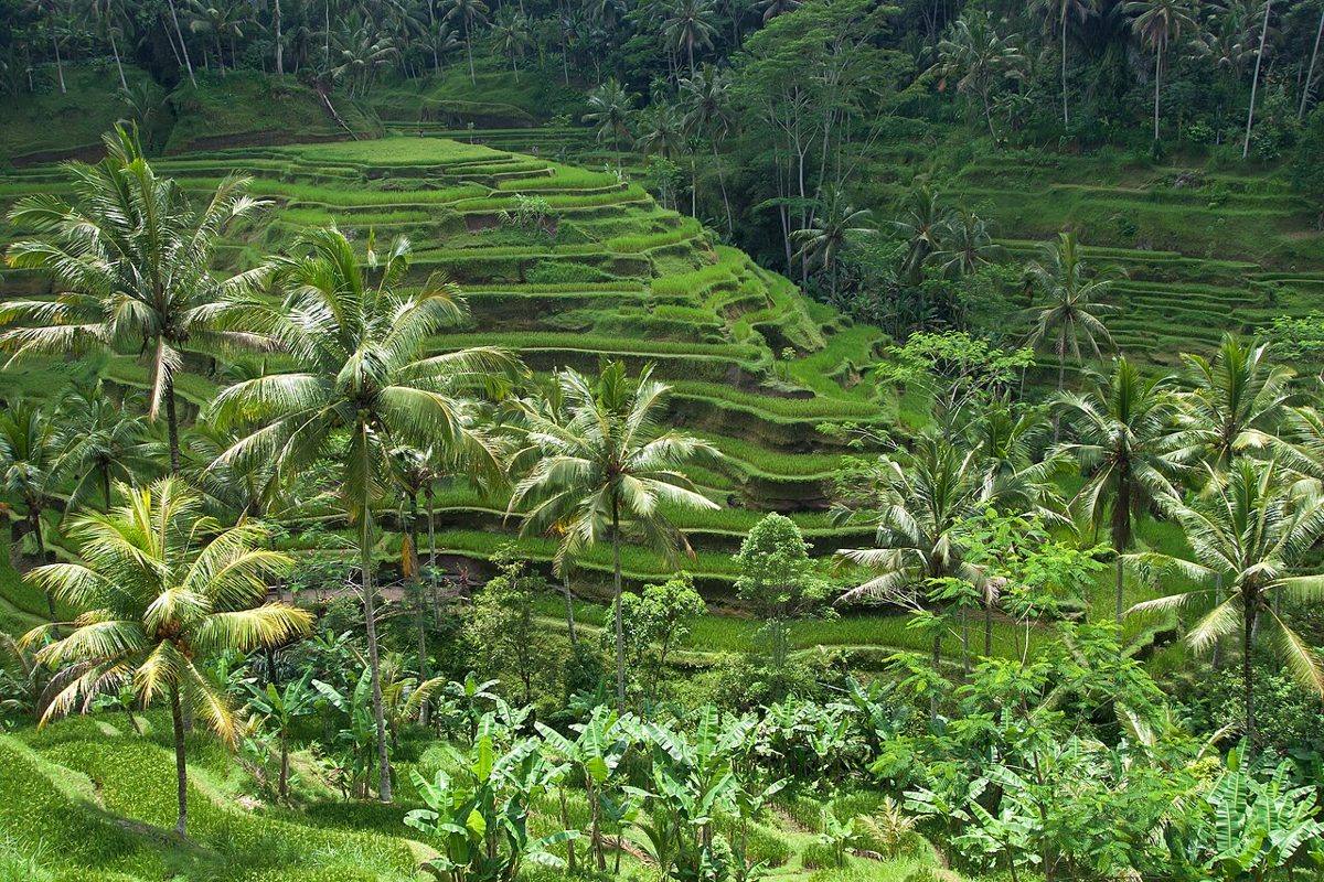 Bali destination view 1
