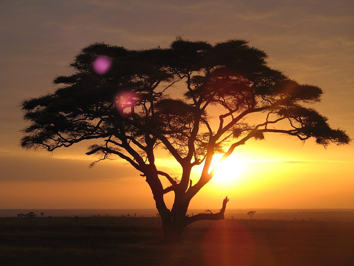 Travel photograph for Serengeti, Tanzania