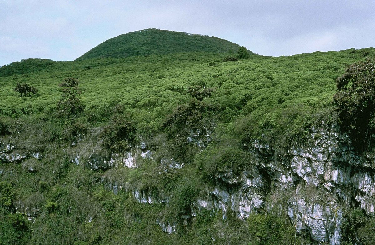 galapagos